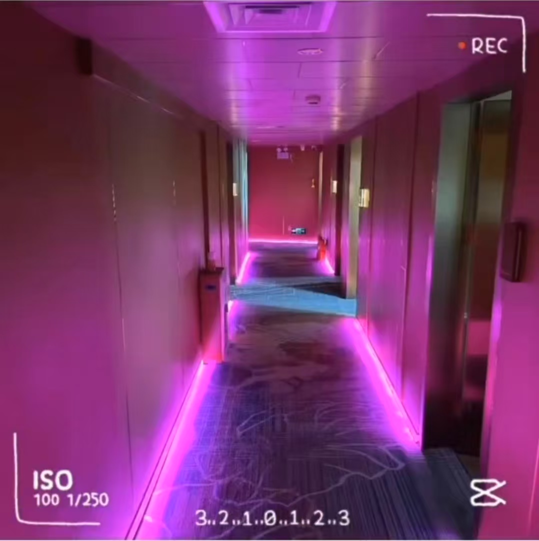 20250302134900b51cf8831.jpg